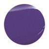 Color Trend Esmalte Brilho e Longa Duração Cor Flagra