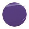 Color Trend Esmalte Brilho e Longa Duração Cor Flagra